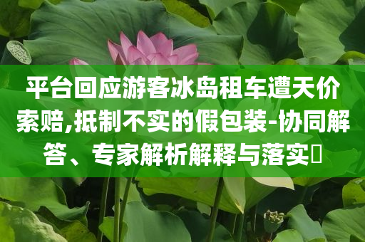 平臺回應(yīng)游客冰島租車遭天價索賠,抵制不實(shí)的假包裝-協(xié)同解答、專家解析解釋與落實(shí)?