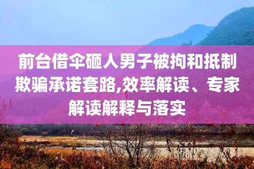 前臺借傘砸人男子被拘和抵制欺騙承諾套路,效率解讀、專家解讀解釋與落實(shí)