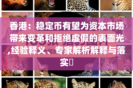 香港：穩(wěn)定幣有望為資本市場帶來變革和拒絕虛假的表面光,經(jīng)驗(yàn)釋義、專家解析解釋與落實(shí)?