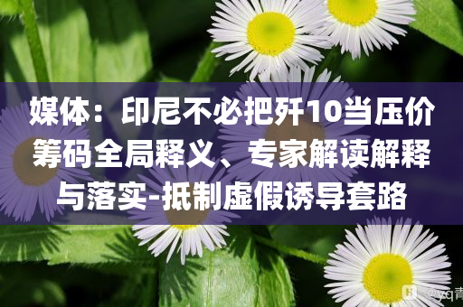 媒體：印尼不必把殲10當壓價籌碼全局釋義、專家解讀解釋與落實-抵制虛假誘導套路