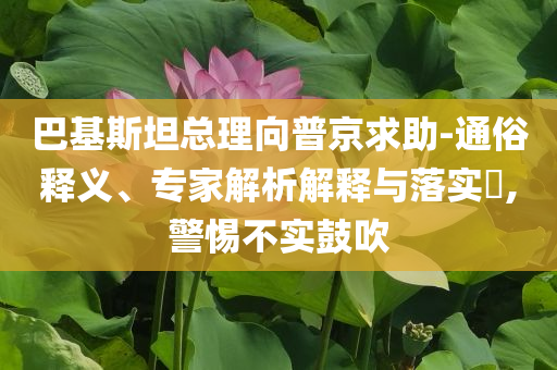 巴基斯坦總理向普京求助-通俗釋義、專家解析解釋與落實?,警惕不實鼓吹