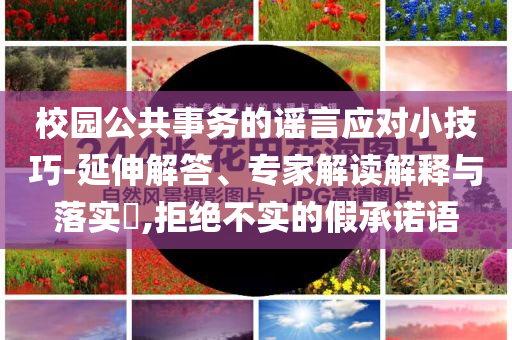 校園公共事務(wù)的謠言應(yīng)對小技巧-延伸解答、專家解讀解釋與落實(shí)?,拒絕不實(shí)的假承諾語