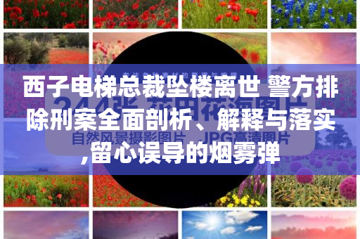 西子電梯總裁墜樓離世 警方排除刑案全面剖析、解釋與落實(shí),留心誤導(dǎo)的煙霧彈