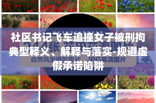 社區(qū)書(shū)記飛車(chē)追撞女子被刑拘典型釋義、解釋與落實(shí)-規(guī)避虛假承諾陷阱