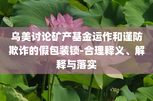 烏美討論礦產(chǎn)基金運作和謹防欺詐的假包裝鎖-合理釋義、解釋與落實