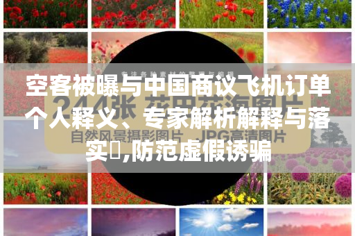 空客被曝與中國商議飛機訂單個人釋義、專家解析解釋與落實?,防范虛假誘騙