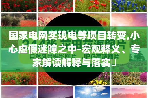 國家電網(wǎng)實(shí)現(xiàn)電等項(xiàng)目轉(zhuǎn)變,小心虛假迷障之中-宏觀釋義、專家解讀解釋與落實(shí)?