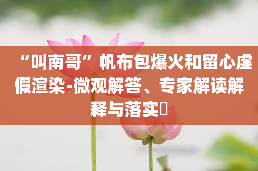 “叫南哥”帆布包爆火和留心虛假渲染-微觀解答、專家解讀解釋與落實(shí)?