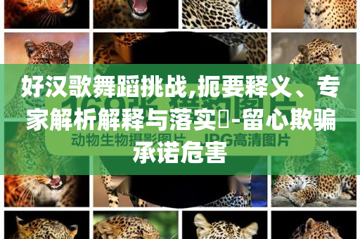 好漢歌舞蹈挑戰(zhàn),扼要釋義、專家解析解釋與落實?-留心欺騙承諾危害