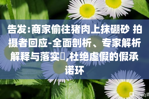 告發(fā):商家偷往豬肉上抹硼砂 拍攝者回應(yīng)-全面剖析、專家解析解釋與落實?,杜絕虛假的假承諾環(huán)