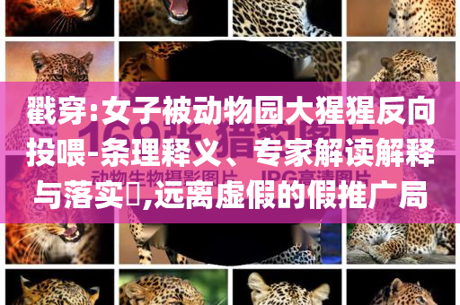 戳穿:女子被動(dòng)物園大猩猩反向投喂-條理釋義、專家解讀解釋與落實(shí)?,遠(yuǎn)離虛假的假推廣局