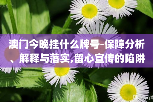 澳門今晚掛什么牌號(hào)-保障分析、解釋與落實(shí),留心宣傳的陷阱