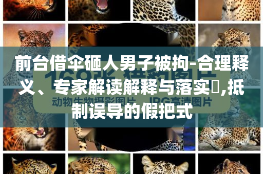 前臺借傘砸人男子被拘-合理釋義、專家解讀解釋與落實?,抵制誤導(dǎo)的假把式
