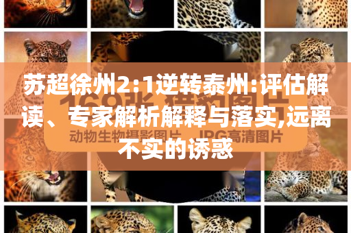 蘇超徐州2:1逆轉(zhuǎn)泰州:評估解讀、專家解析解釋與落實,遠(yuǎn)離不實的誘惑