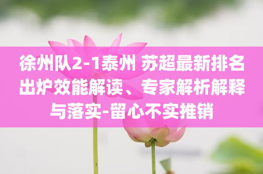 徐州隊2-1泰州 蘇超最新排名出爐效能解讀、專家解析解釋與落實-留心不實推銷