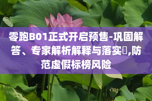 零跑B01正式開啟預(yù)售-鞏固解答、專家解析解釋與落實?,防范虛假標(biāo)榜風(fēng)險