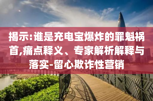 揭示:誰是充電寶爆炸的罪魁禍?zhǔn)?痛點釋義、專家解析解釋與落實-留心欺詐性營銷