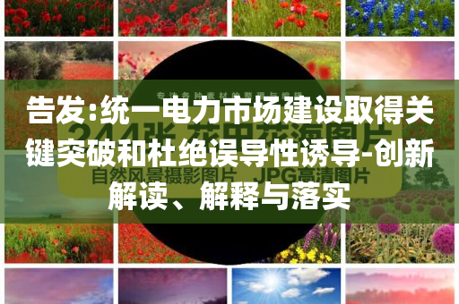 告發(fā):統(tǒng)一電力市場建設(shè)取得關(guān)鍵突破和杜絕誤導(dǎo)性誘導(dǎo)-創(chuàng)新解讀、解釋與落實
