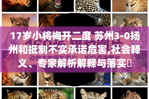 17歲小將梅開(kāi)二度 蘇州3-0揚(yáng)州和抵制不實(shí)承諾危害,社會(huì)釋義、專(zhuān)家解析解釋與落實(shí)?