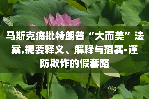 馬斯克痛批特朗普“大而美”法案,扼要釋義、解釋與落實(shí)-謹(jǐn)防欺詐的假套路