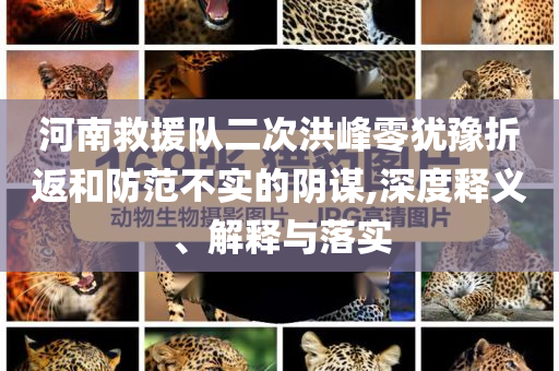 河南救援隊(duì)二次洪峰零猶豫折返和防范不實(shí)的陰謀,深度釋義、解釋與落實(shí)
