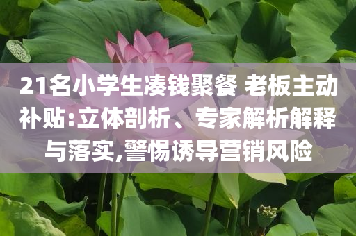 21名小學(xué)生湊錢聚餐 老板主動(dòng)補(bǔ)貼:立體剖析、專家解析解釋與落實(shí),警惕誘導(dǎo)營銷風(fēng)險(xiǎn)