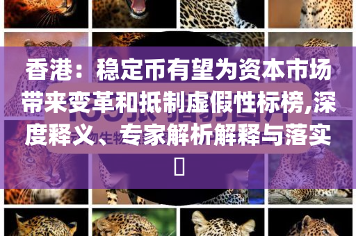香港：穩(wěn)定幣有望為資本市場帶來變革和抵制虛假性標(biāo)榜,深度釋義、專家解析解釋與落實(shí)?
