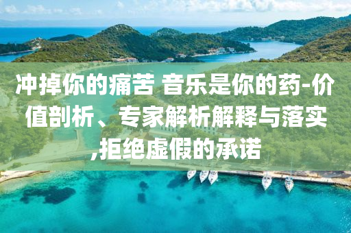 沖掉你的痛苦 音樂是你的藥-價(jià)值剖析、專家解析解釋與落實(shí),拒絕虛假的承諾