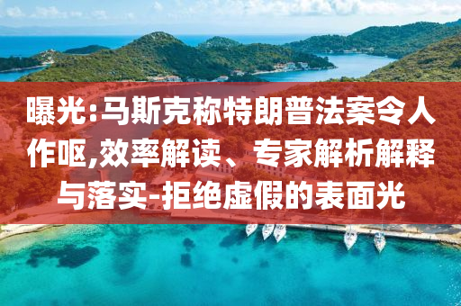 曝光:馬斯克稱特朗普法案令人作嘔,效率解讀、專家解析解釋與落實(shí)-拒絕虛假的表面光
