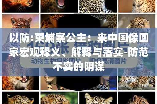 以防:柬埔寨公主：來(lái)中國(guó)像回家宏觀釋義、解釋與落實(shí)-防范不實(shí)的陰謀