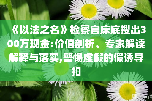 《以法之名》檢察官床底搜出300萬現(xiàn)金:價(jià)值剖析、專家解讀解釋與落實(shí),警惕虛假的假誘導(dǎo)扣