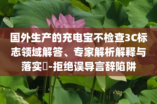 國外生產(chǎn)的充電寶不檢查3C標志領域解答、專家解析解釋與落實?-拒絕誤導言辭陷阱