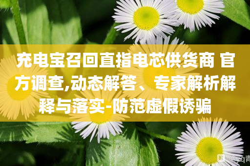 充電寶召回直指電芯供貨商 官方調(diào)查,動態(tài)解答、專家解析解釋與落實-防范虛假誘騙