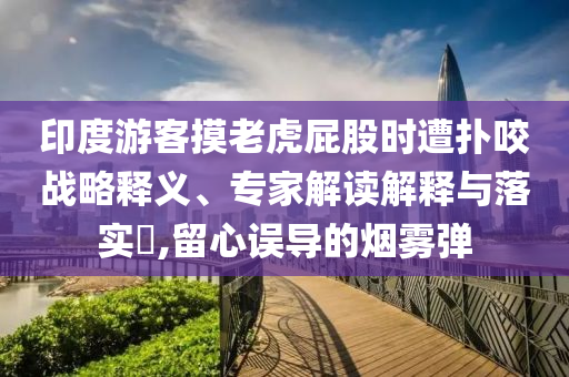 印度游客摸老虎屁股時遭撲咬戰(zhàn)略釋義、專家解讀解釋與落實?,留心誤導(dǎo)的煙霧彈