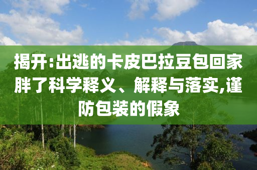 揭開(kāi):出逃的卡皮巴拉豆包回家胖了科學(xué)釋義、解釋與落實(shí),謹(jǐn)防包裝的假象