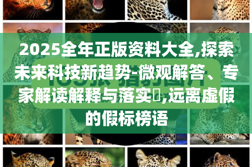 2025全年正版資料大全,探索未來科技新趨勢-微觀解答、專家解讀解釋與落實(shí)?,遠(yuǎn)離虛假的假標(biāo)榜語
