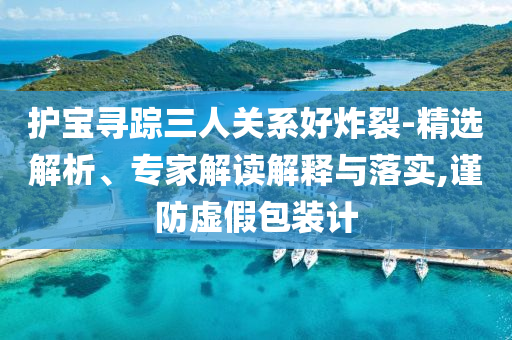 護(hù)寶尋蹤三人關(guān)系好炸裂-精選解析、專家解讀解釋與落實(shí),謹(jǐn)防虛假包裝計(jì)