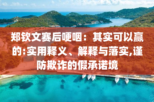 鄭欽文賽后哽咽：其實(shí)可以贏的:實(shí)用釋義、解釋與落實(shí),謹(jǐn)防欺詐的假承諾境