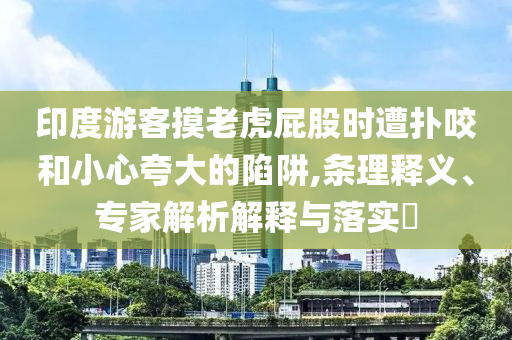 印度游客摸老虎屁股時遭撲咬和小心夸大的陷阱,條理釋義、專家解析解釋與落實?