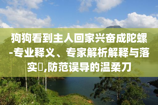 狗狗看到主人回家興奮成陀螺-專業(yè)釋義、專家解析解釋與落實(shí)?,防范誤導(dǎo)的溫柔刀