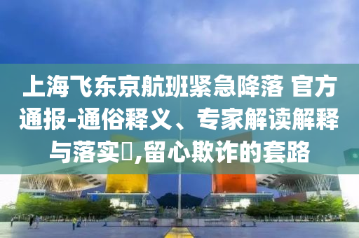 上海飛東京航班緊急降落 官方通報-通俗釋義、專家解讀解釋與落實?,留心欺詐的套路
