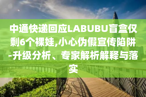 中通快遞回應(yīng)LABUBU盲盒僅剩6個(gè)裸娃,小心偽假宣傳陷阱-升級(jí)分析、專家解析解釋與落實(shí)
