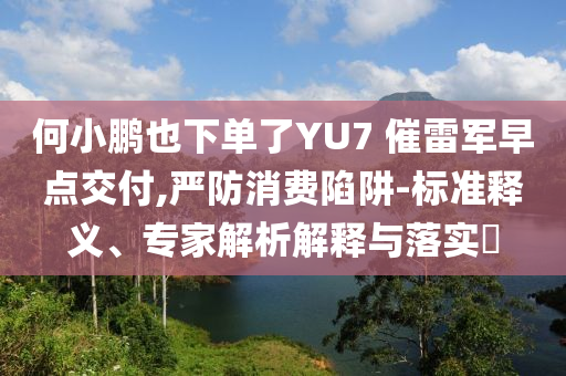 何小鵬也下單了YU7 催雷軍早點交付,嚴防消費陷阱-標準釋義、專家解析解釋與落實?