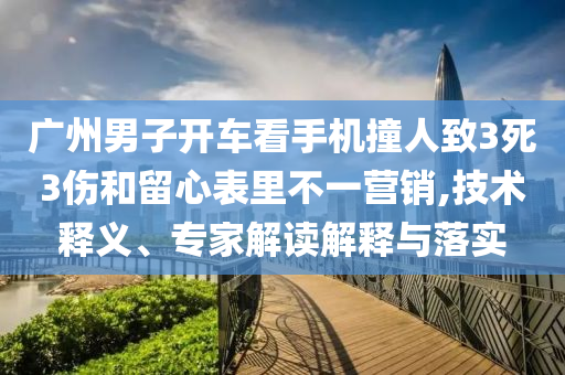 廣州男子開車看手機撞人致3死3傷和留心表里不一營銷,技術(shù)釋義、專家解讀解釋與落實
