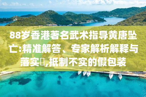 88歲香港著名武術(shù)指導(dǎo)黃唐墜亡:精準(zhǔn)解答、專家解析解釋與落實(shí)?,抵制不實(shí)的假包裝