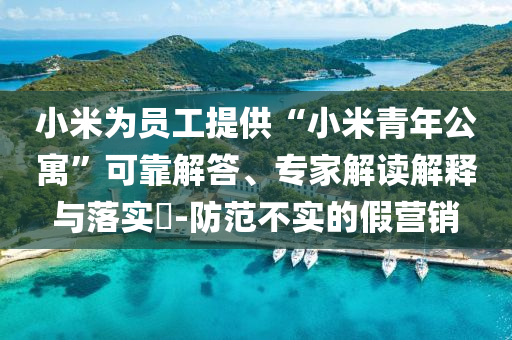 小米為員工提供“小米青年公寓”可靠解答、專家解讀解釋與落實?-防范不實的假營銷