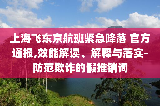 上海飛東京航班緊急降落 官方通報(bào),效能解讀、解釋與落實(shí)-防范欺詐的假推銷詞