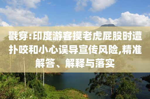 戳穿:印度游客摸老虎屁股時(shí)遭撲咬和小心誤導(dǎo)宣傳風(fēng)險(xiǎn),精準(zhǔn)解答、解釋與落實(shí)