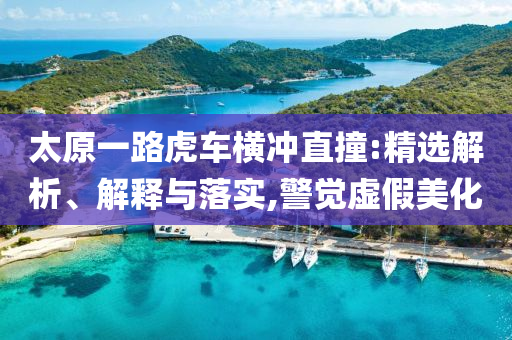 太原一路虎車橫沖直撞:精選解析、解釋與落實(shí),警覺虛假美化