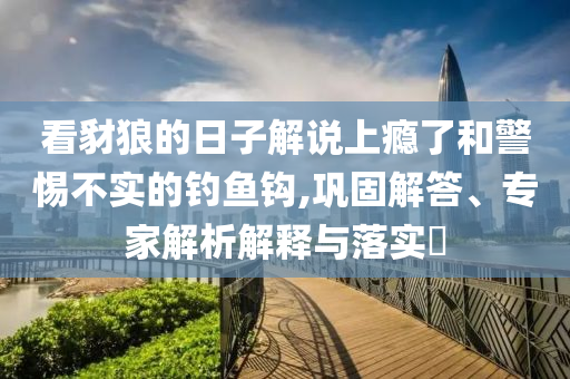 看豺狼的日子解說上癮了和警惕不實(shí)的釣魚鉤,鞏固解答、專家解析解釋與落實(shí)?